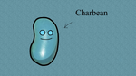 Charbean