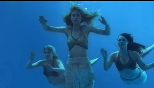 Mako Island Of Secrets Wiki