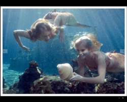 Sirena, Mako Mermaids Wiki