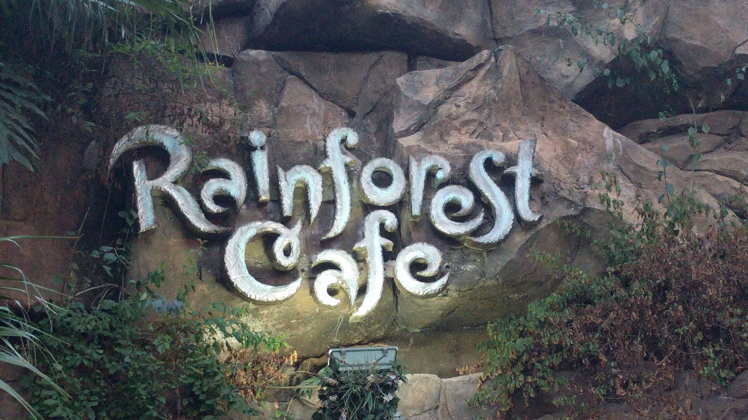 Rainforest Cafe - East Bloomington - 7 tips from 897 visitors