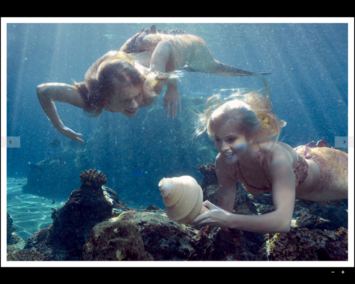 Enchantment Song, Mako Mermaids Wiki