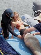 Mako Mermaids Set 2