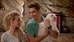 Erik, Mako Mermaids Wiki