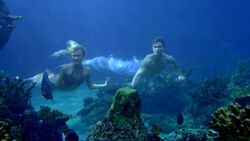 Mako Mermaids Photo: amy, erin, lucy & ivy in the moonpool