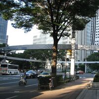 Intersection Behind Shinjuku Police Station Makoto Shinkai Wiki Fandom Intersection Behind Shinjuku Police Station Makoto Shinkai Wiki Fandom