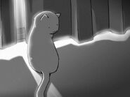 She and Her Cat (1999): Chobi