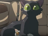 Sadaijin