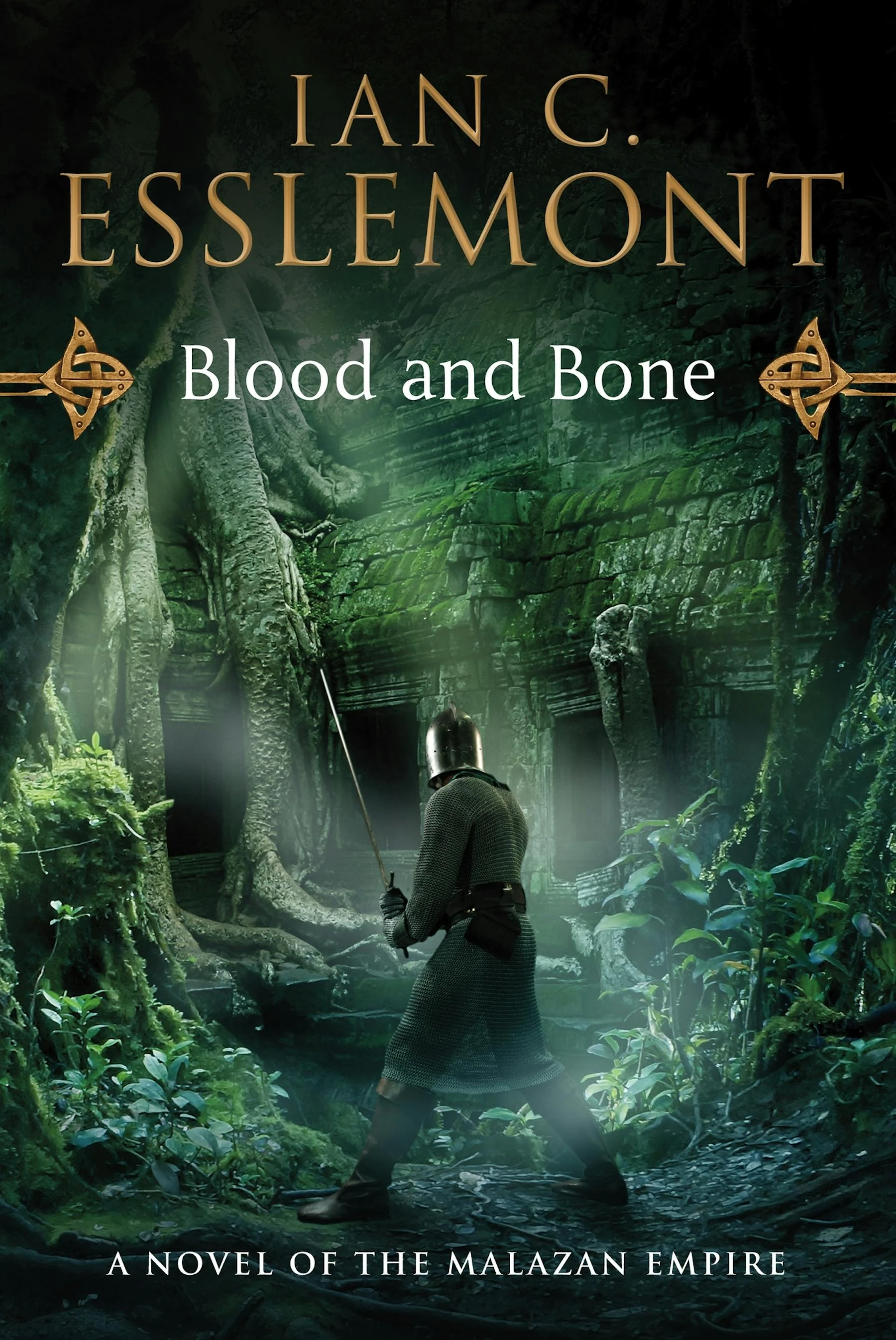 Blood and Bone Malazan Wiki Fandom