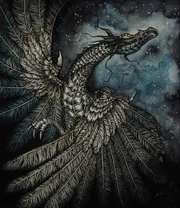 T'iam by Thirteen