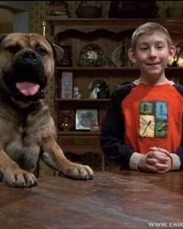 Dewey S Dog Malcolm In The Middle Wiki Fandom
