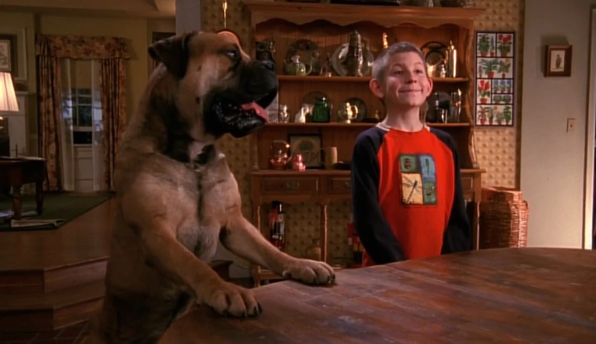 Dewey's Dog | Malcolm in the Middle Wiki | Fandom, image size:1200x692
