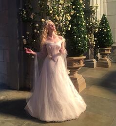 Aurora Wedding.jpg