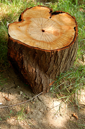 log-malf-fandom