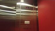 The American Girl Elevator