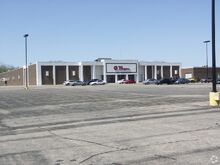 Bergner's