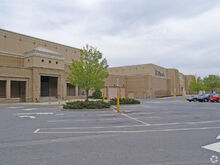 Dillard's-1581959782