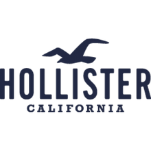 Hollister logo
