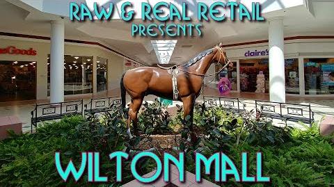 Wilton mall shop shoe stores
