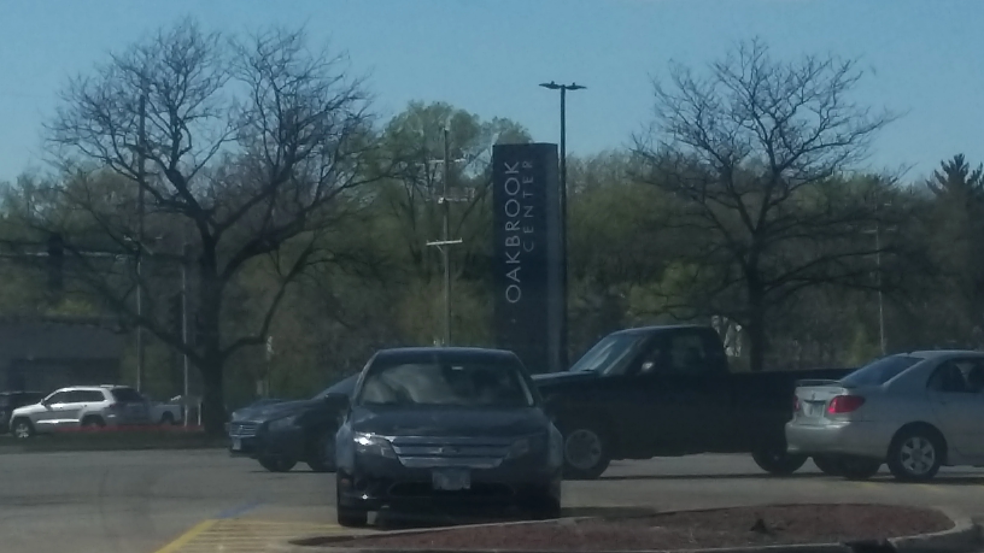 Are Dogs Allowed At Oakbrook Mall