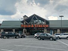 Field & Stream