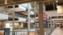 lady foot locker palisades mall