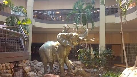 Burlington catalinas mall on sale