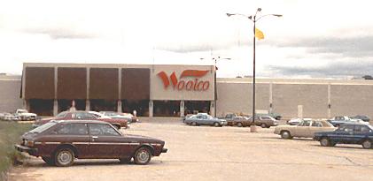 Wool co discount