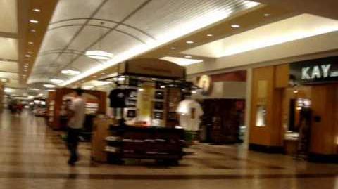 Dsw bellis fair shop