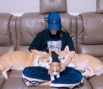 BakWoonGang | MAMAMOO Wiki | Fandom