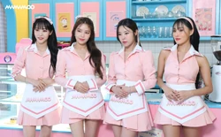 Season's Greetings | MAMAMOO Wiki | Fandom