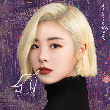 ファッション 通販本・音楽・ゲーム - mamamoo wheein フィイン