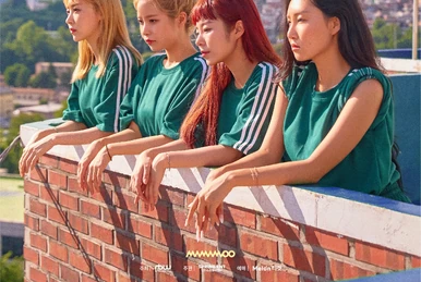 mamamoo コンサート キッド Director's Cut : Japan Special Live | MAMAMOO Wiki | Fandom