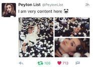 Peyton posted this on Twitter, which includes the "panda" emoji. This is Zendellaneyton's official emoji as Zendellaneyton fans are referred to as "Baby Pandas".