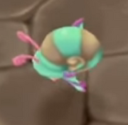 Denden AOM.png