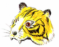 TigerCap.png