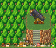 Cannon Travel SOM