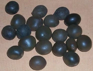 Seeds caesalpinia.jpg (72 KB) Black nickernuts from Kenya