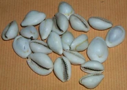 Búzios da Indonésia