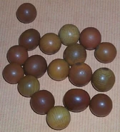 Seeds c major.jpg (49 KB) Brown nickernuts from Antigua