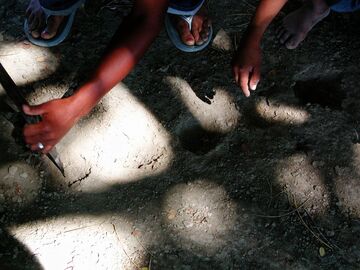 Digging holes villajaragua