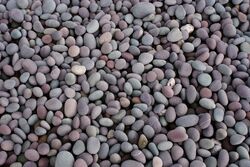 Pebbles2.jpg