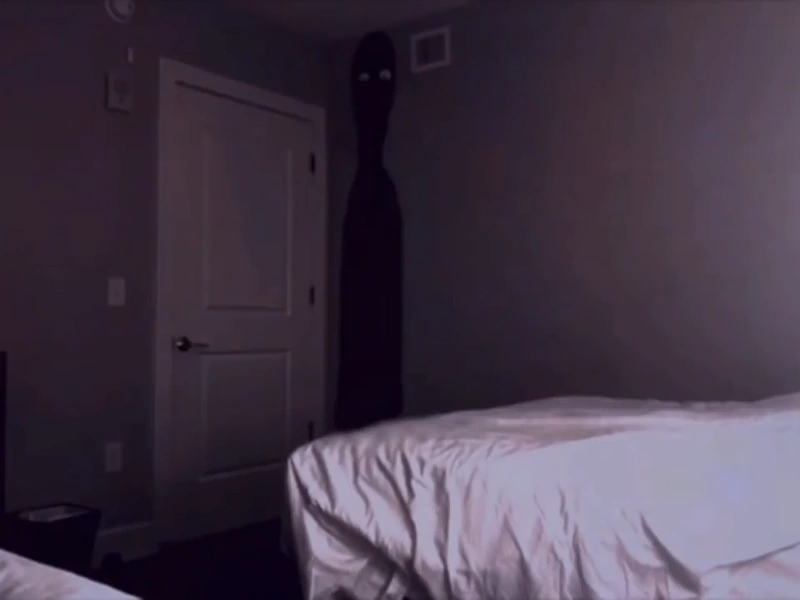 N Wiki Mandela Catalogue Fandom