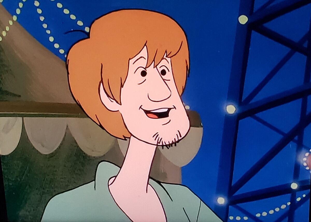 Shaggy