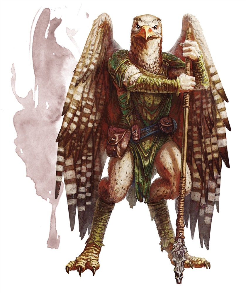 The Aarakocra Race for Dungeons & Dragons (D&D) Fifth Edition (5e) - D&D  Beyond