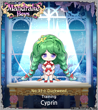 ☆8 Organic Dragon Palace Story Seeds | Mandrake Boys Wikia