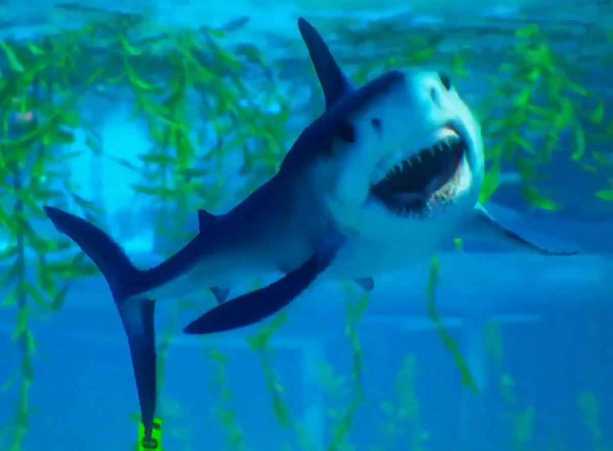 Mako Maneater (Video Game) Wiki Fandom