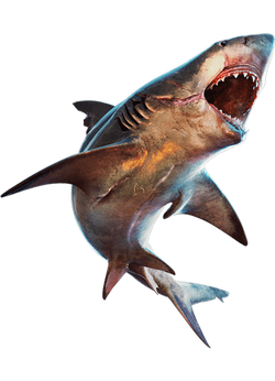 Bull shark toy hot sale