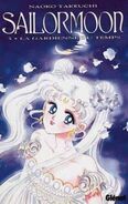 Sailor moon 3 (3)