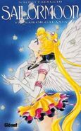 Sailor moon 3 (16)