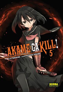 アカメが斬る! 13 (Akame ga KILL!, #13) by Takahiro